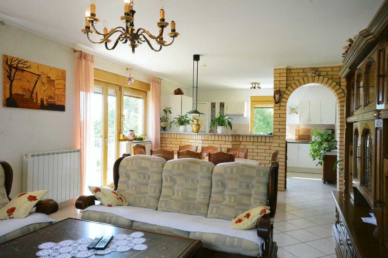 Ferienhaus Tomic Nedescina Экстерьер фото