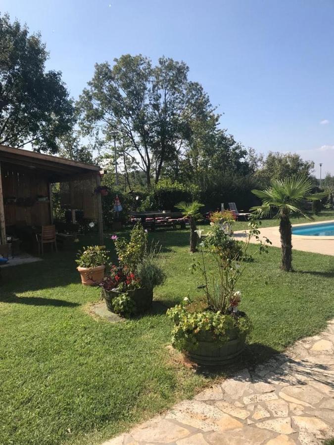 Ferienhaus Tomic Nedescina Экстерьер фото